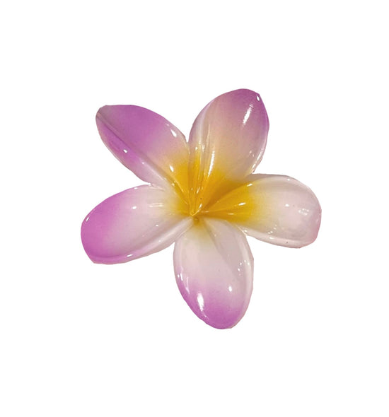 Acrylic Hawaiian Claw Clip 2.0