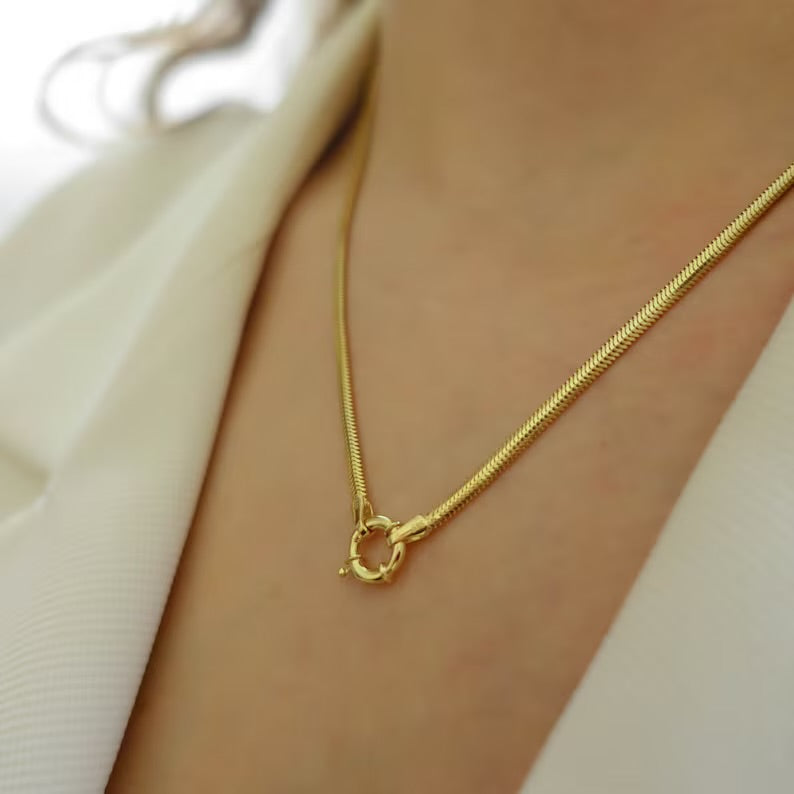 Snake Lock Necklace