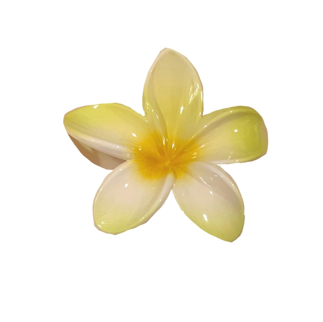 Acrylic Hawaiian Claw Clip 2.0
