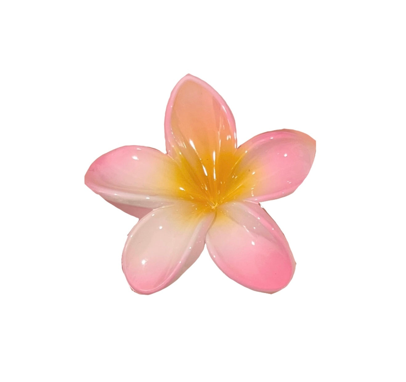 Acrylic Hawaiian Claw Clip 2.0