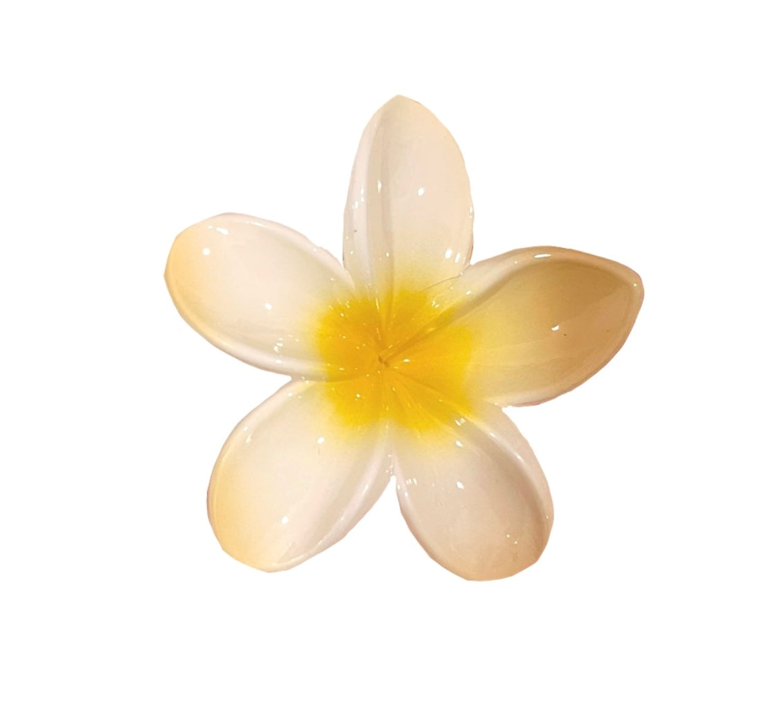 Acrylic Hawaiian Claw Clip 2.0