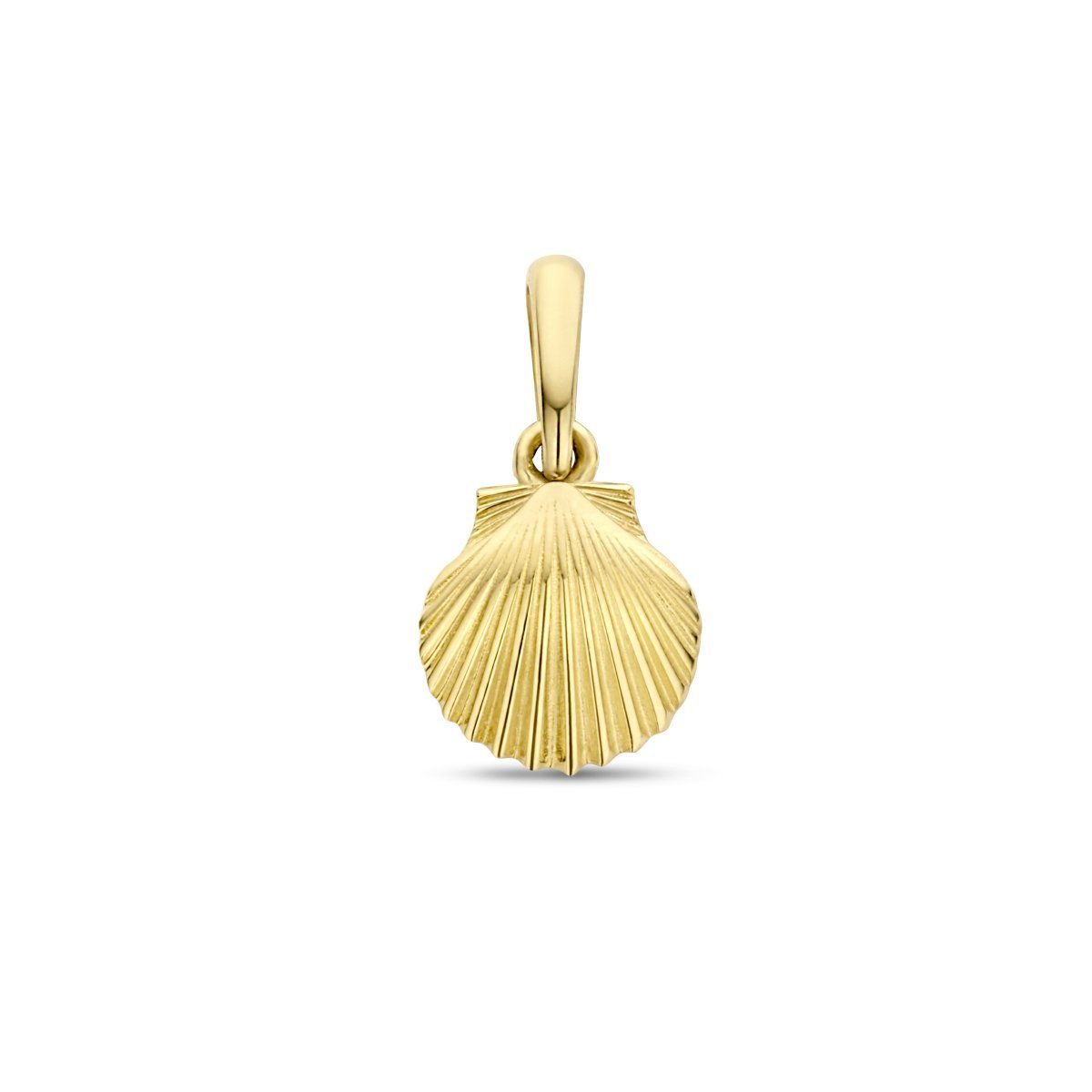 Shell Charm - Stainless Steel