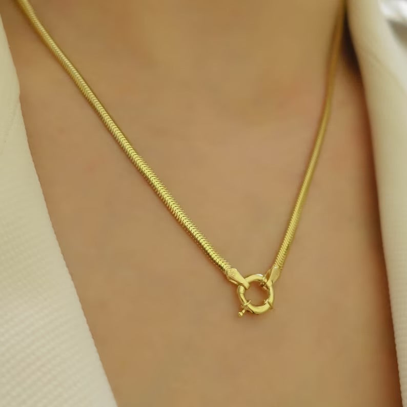 Snake Lock Necklace