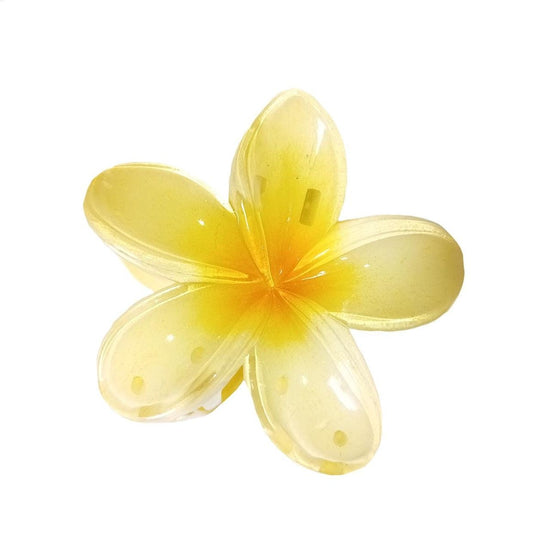 Mini Hawaiian Claw Clip