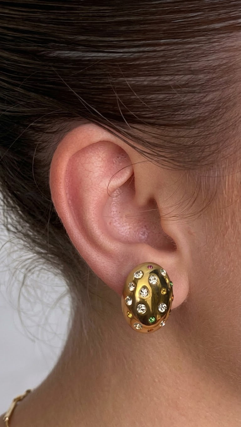 crystal drop earring (stainless steel)