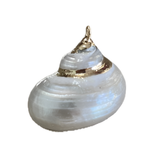 Pearl Seashell Charm- Gold Plated