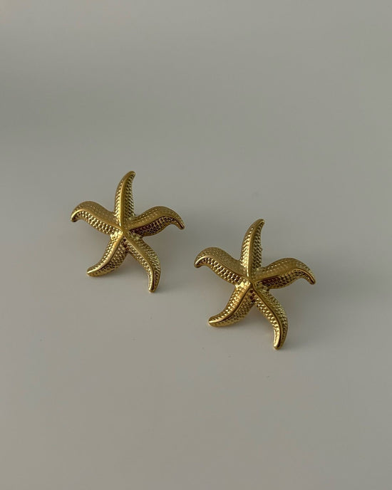 Iconic Starfish Earrings (Stainless Steel)