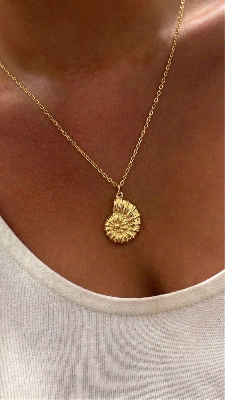 Seashell Necklace- Stainless Steel