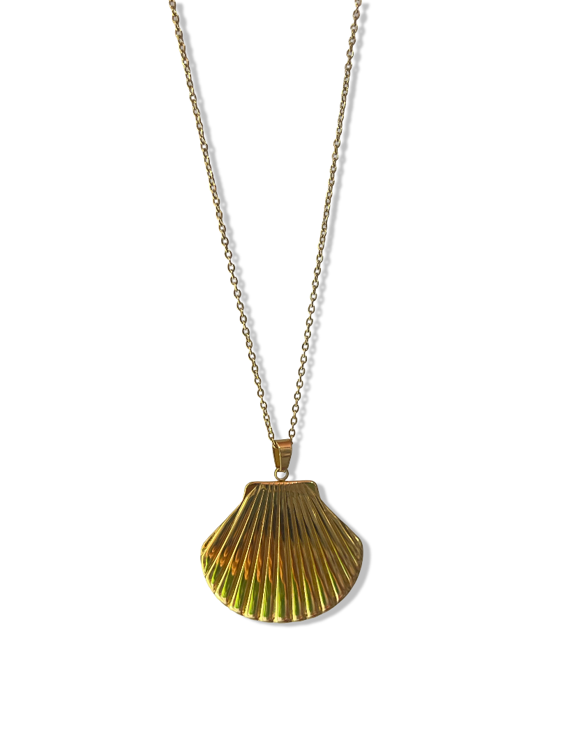 Statement Shell Necklace - Stainless Steel