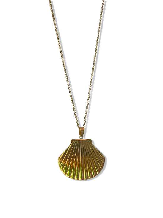 Statement Shell Necklace - Stainless Steel