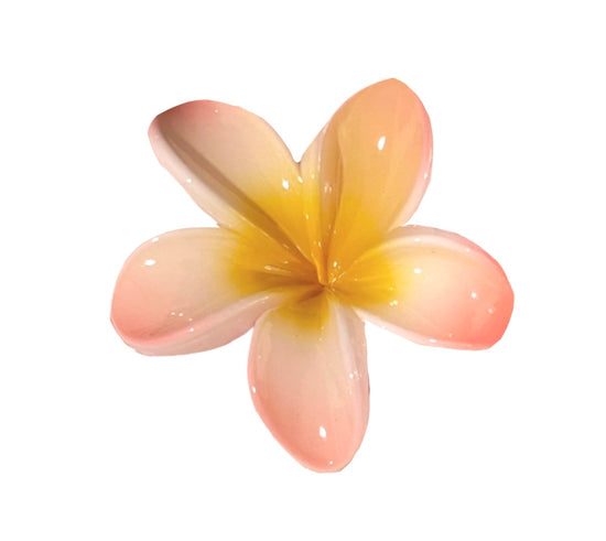 Acrylic Hawaiian Claw Clip 2.0