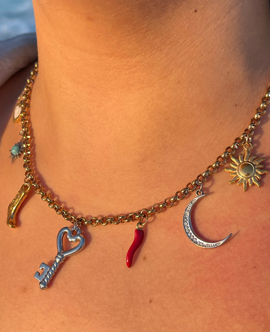 Statement Mixed Charms Necklace (Stainless Steel)