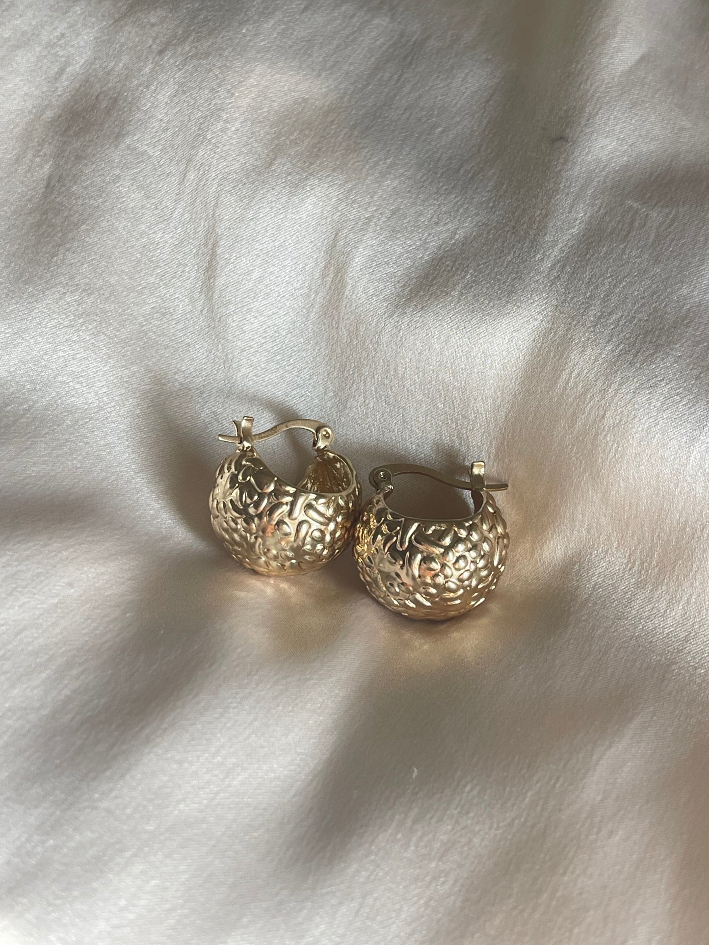 Chunky Hoop Earrings 2.0