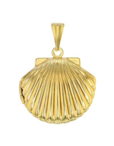 Shell Charm - Stainless Steel