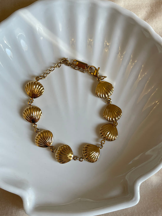 Statement Seashell Bracelet (Stainless Steel)