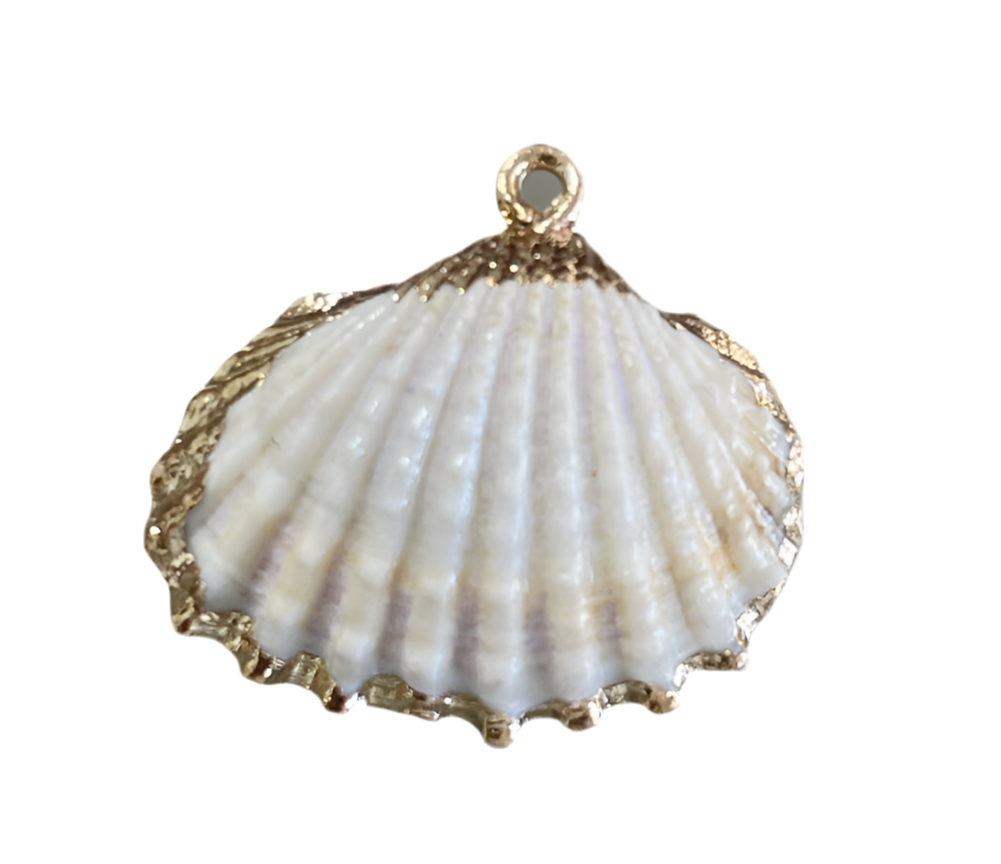 White Shell- Gold Plated