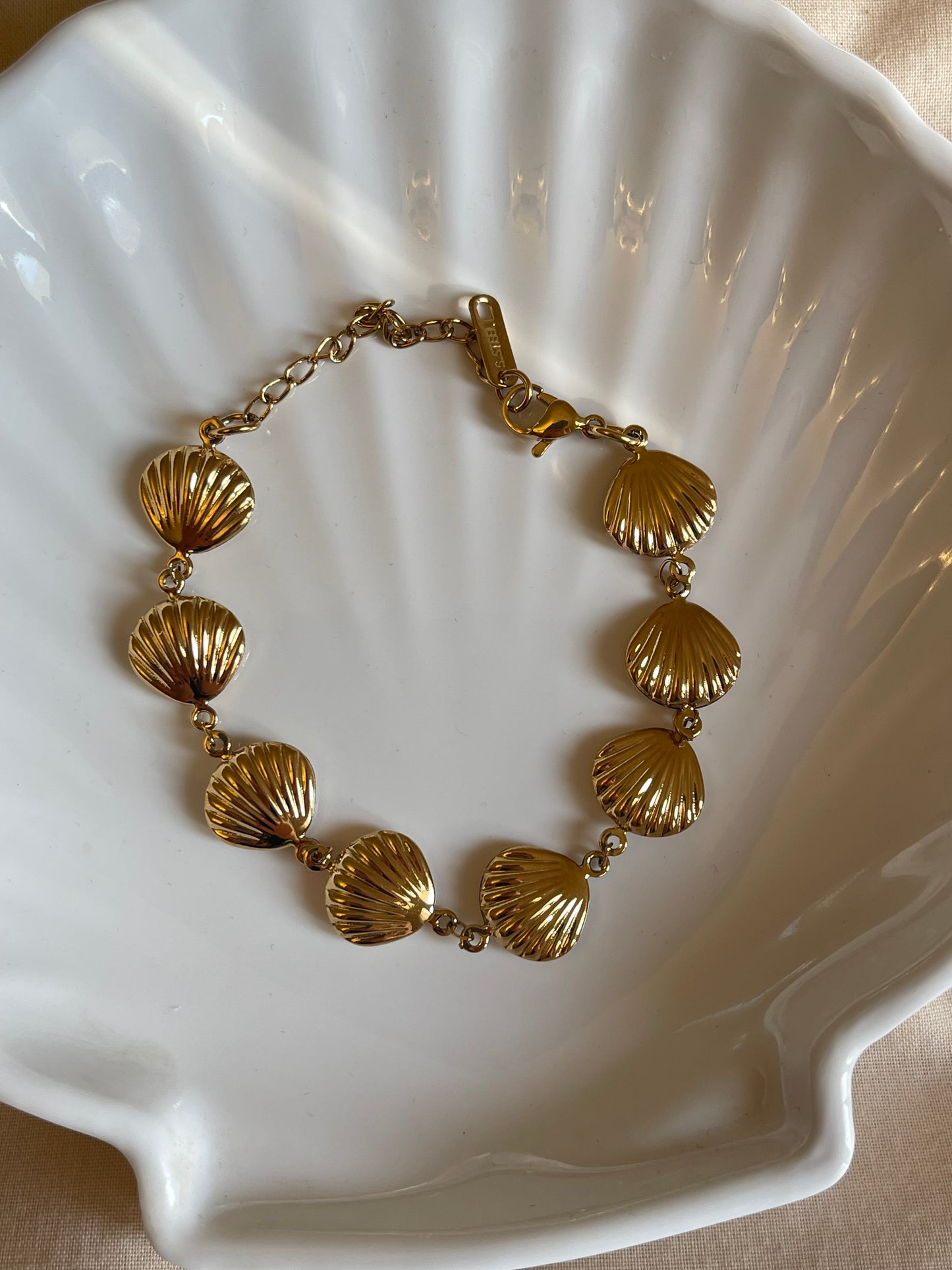 Statement Seashell Bracelet (Stainless Steel)