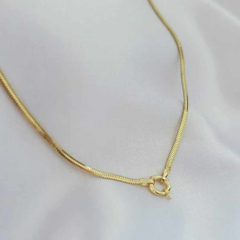 Snake Lock Necklace