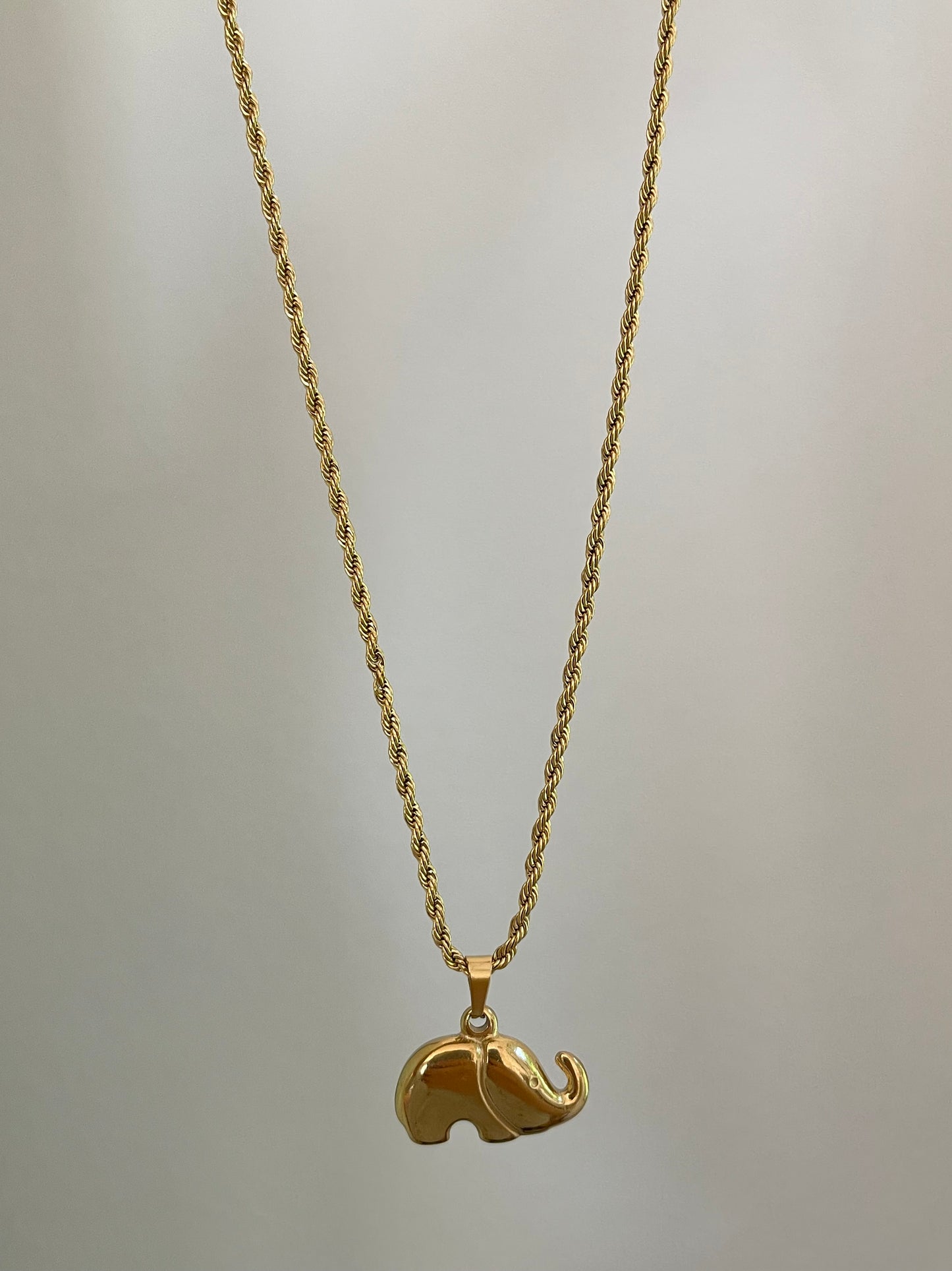 Twisted Elephant Necklace (Stainless Steel)