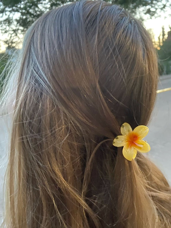 Mini Hawaiian Claw Clip