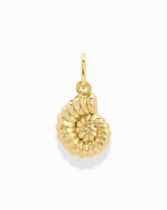 Shell Charm (Stainless Steel)