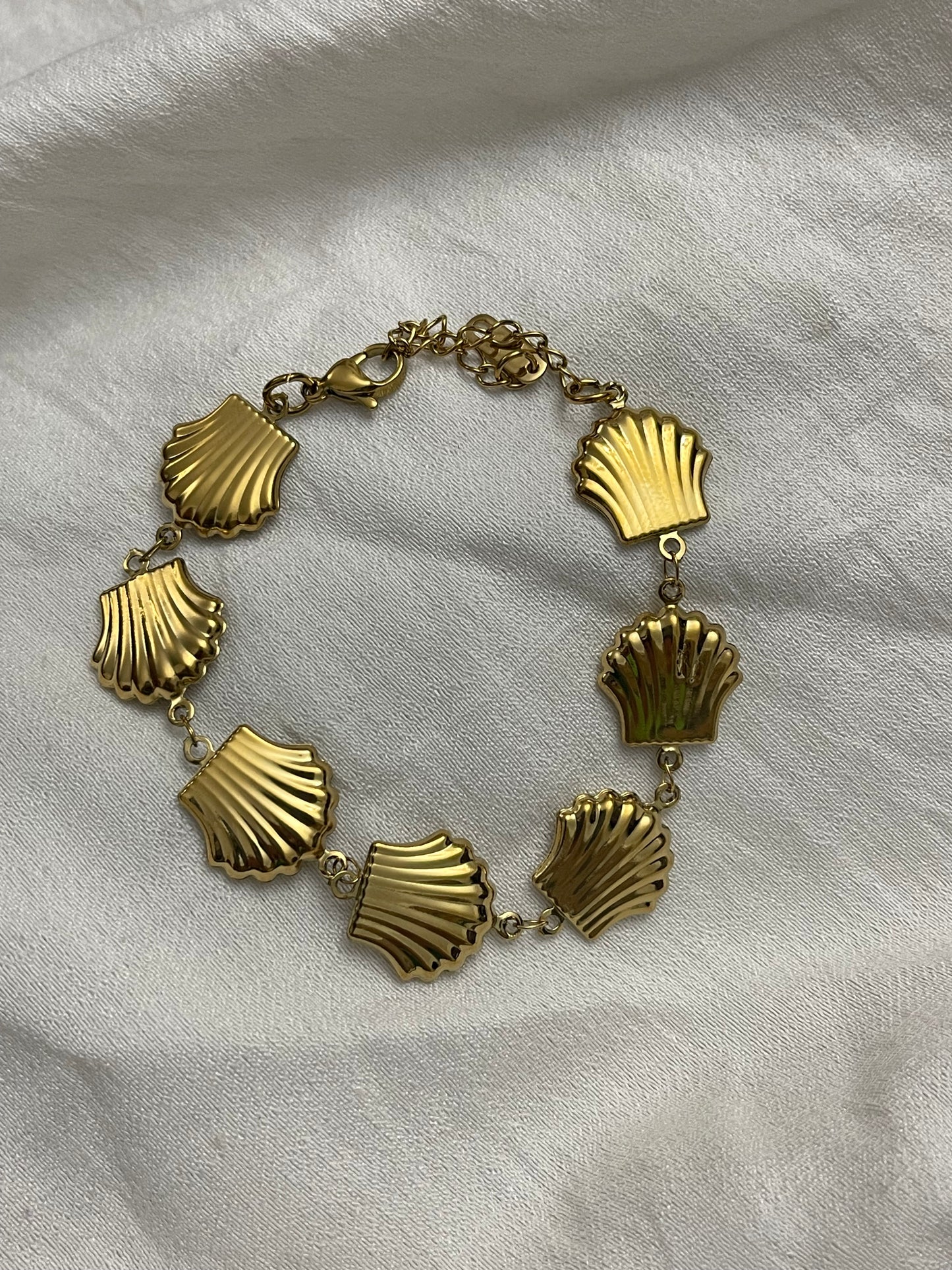 statement seashell bracelet 2.0 - stainless steel & exclusive