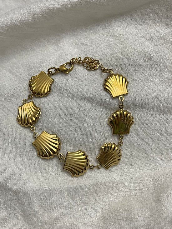 statement seashell bracelet 2.0 - stainless steel & exclusive