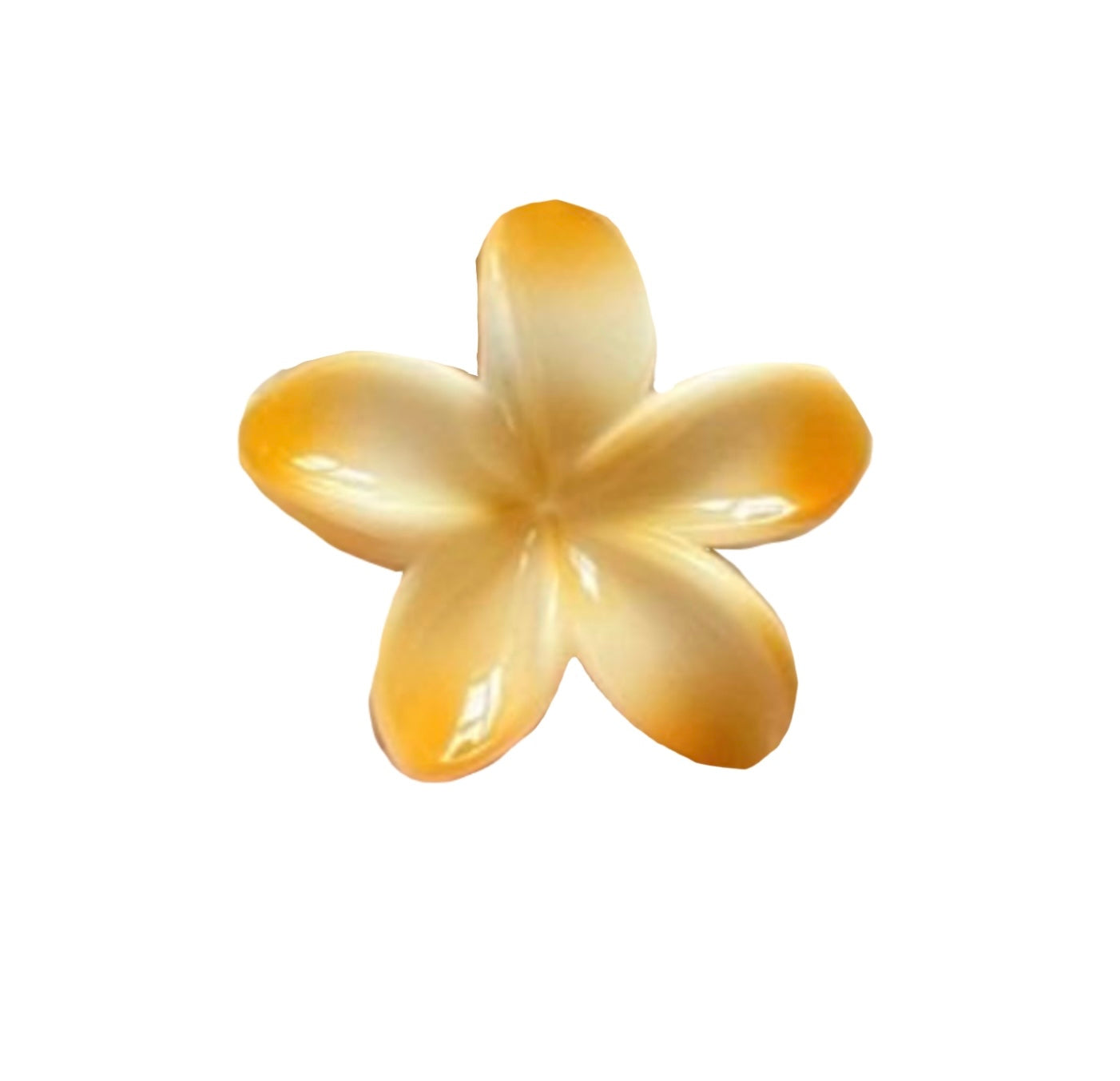 Hawaiian Claw Clip 2.0