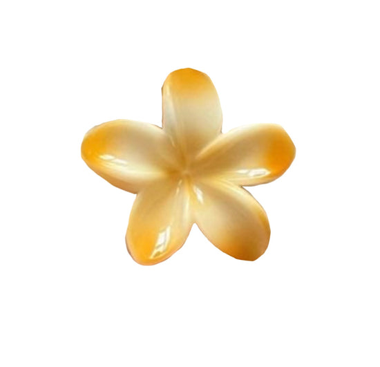 Hawaiian Claw Clip 2.0