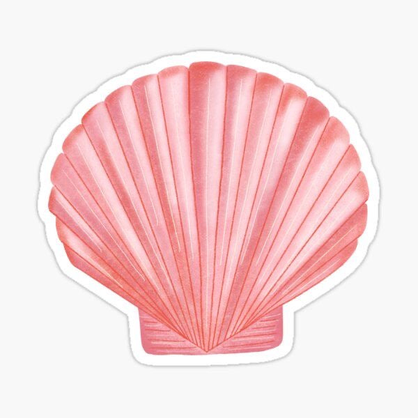 Pink Seashell Sticker