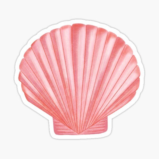 Pink Seashell Sticker