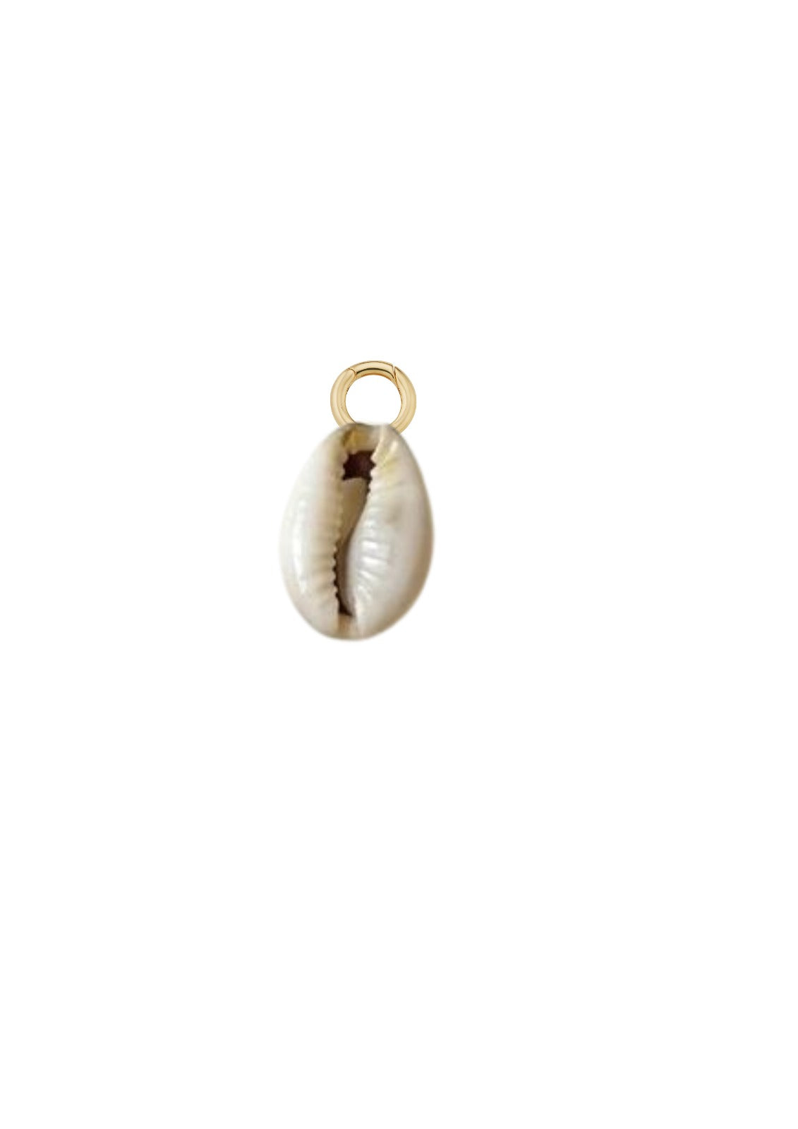 Shell Charm