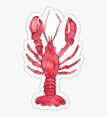 pretty lobster- sticker