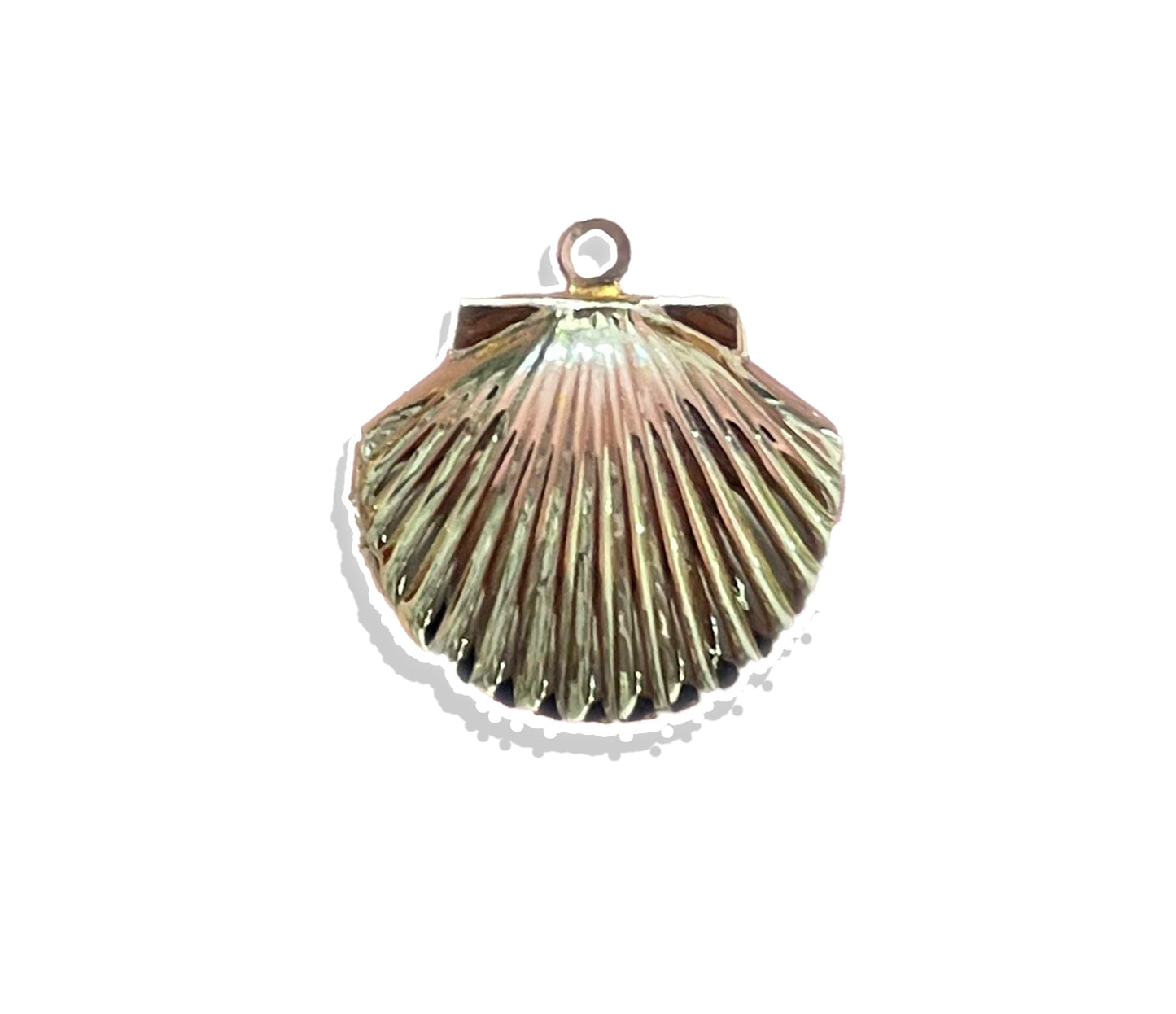 Seashell Locket- Gold Plated