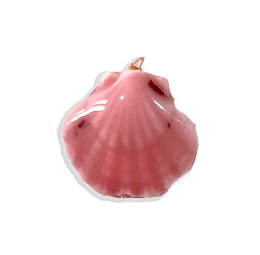 Colorful Seashell Charm