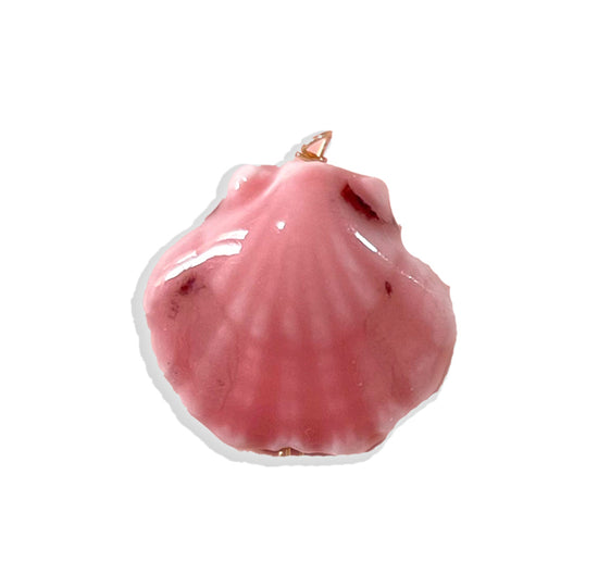 Colorful Seashell Charm