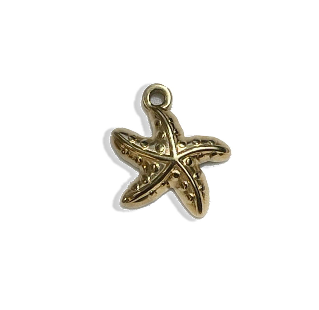 Starfish- Stainless Steel Charm